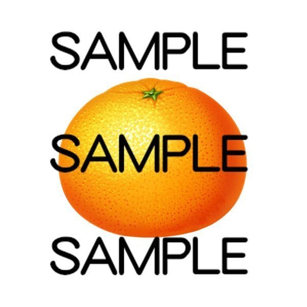 コスパ最高アイテム素材集 果物20