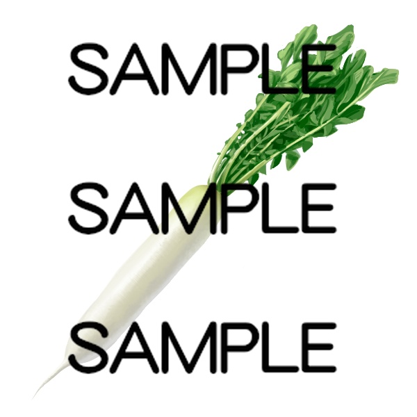 アイテム素材集 野菜20