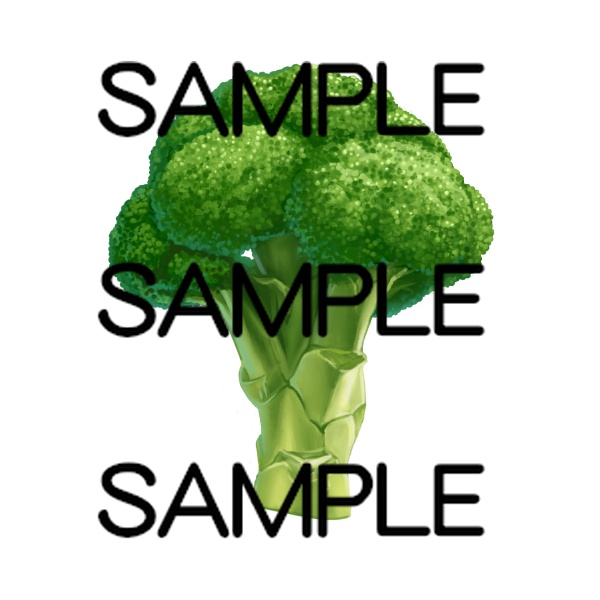 アイテム素材集 野菜20