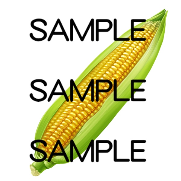 アイテム素材集 野菜20