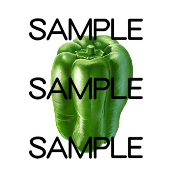 アイテム素材集 野菜20