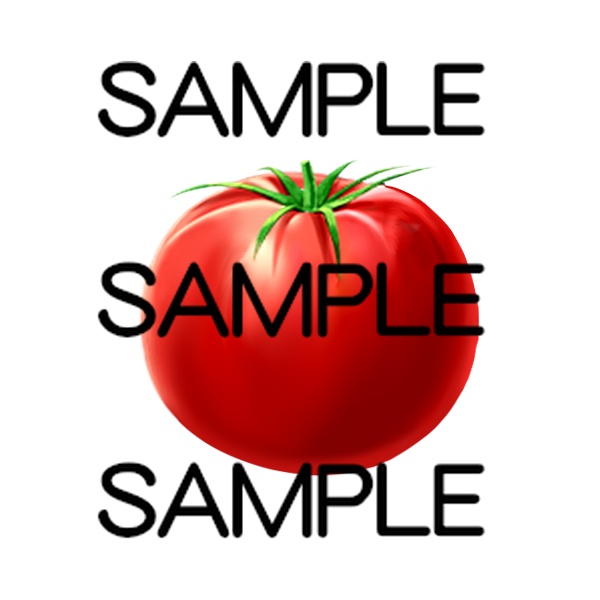 アイテム素材集 野菜20