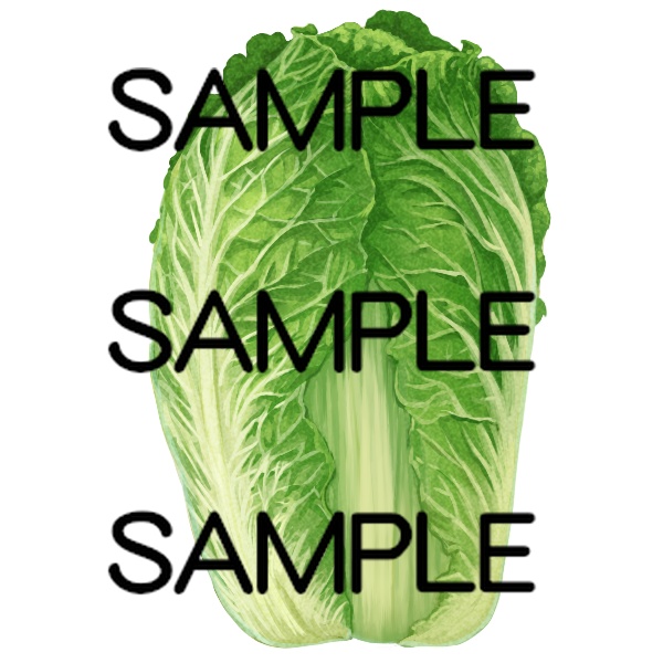 アイテム素材集 野菜20