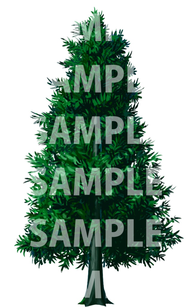 アイテム素材 樹木2 針葉樹3点(背景透過)