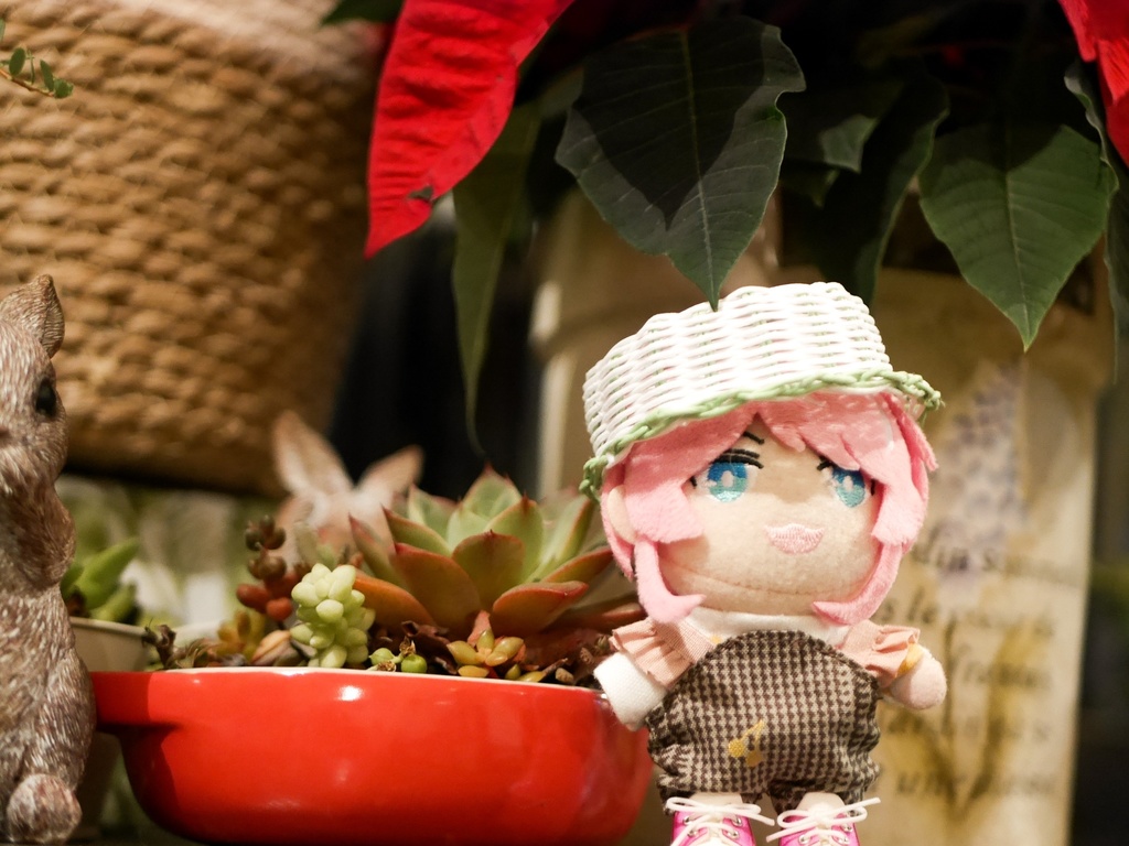 帽子 Mサイズ(10cm~12cmぬい)