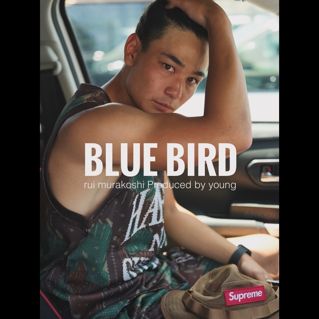 BLUE BIRD