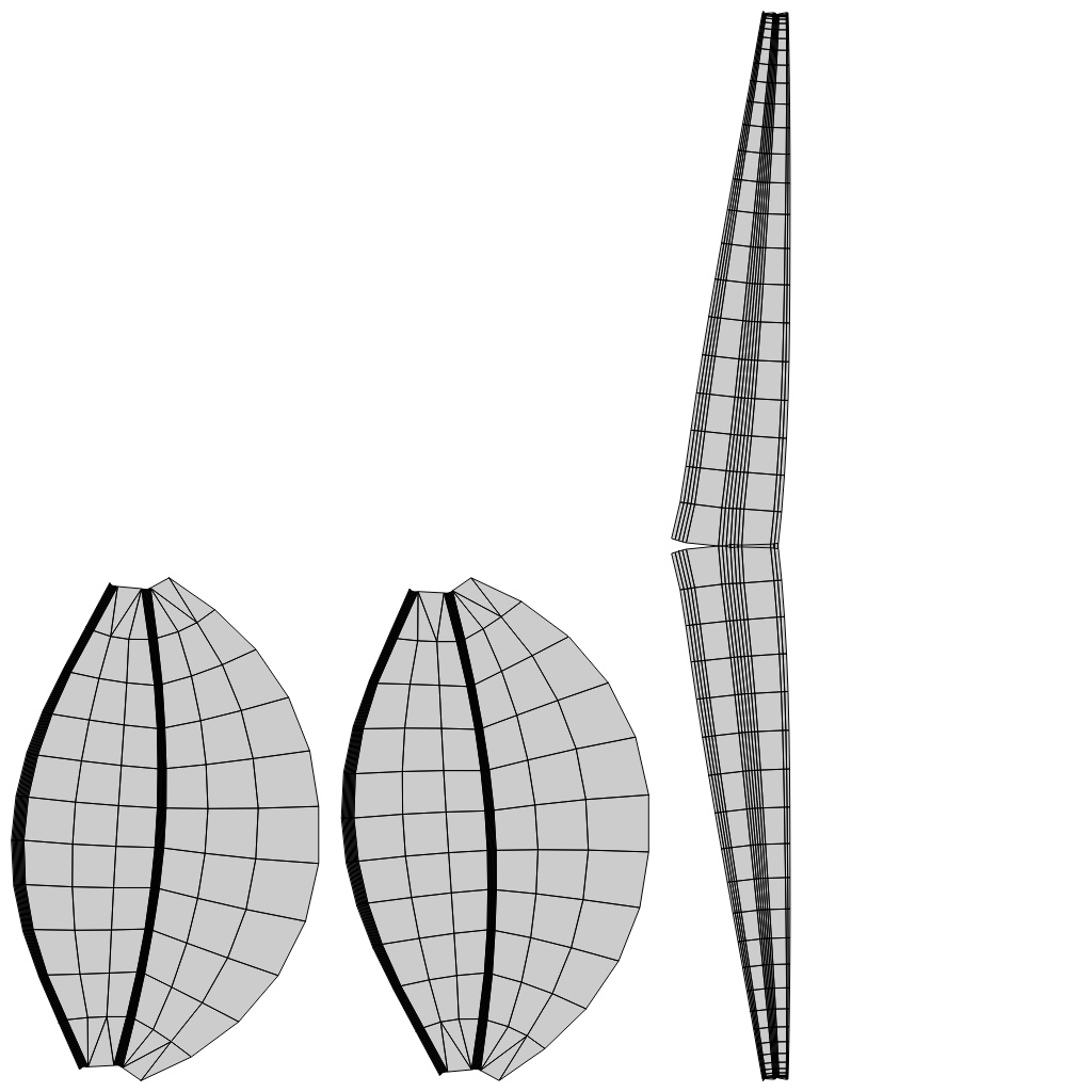 紐水着 HM05 Mark2 (セレスティアちゃん用)