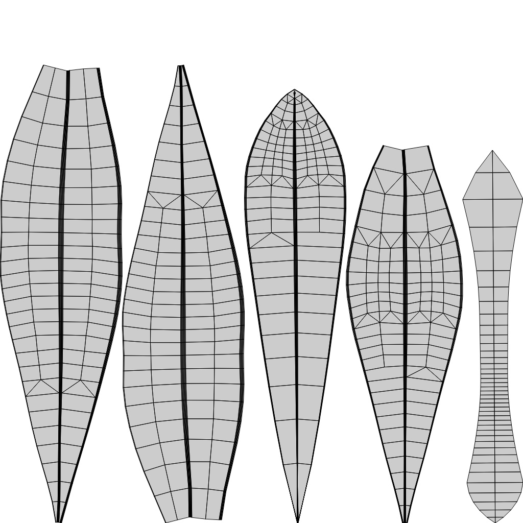 紐水着 HM05 Mark2 DX (龍のヨルちゃん用)