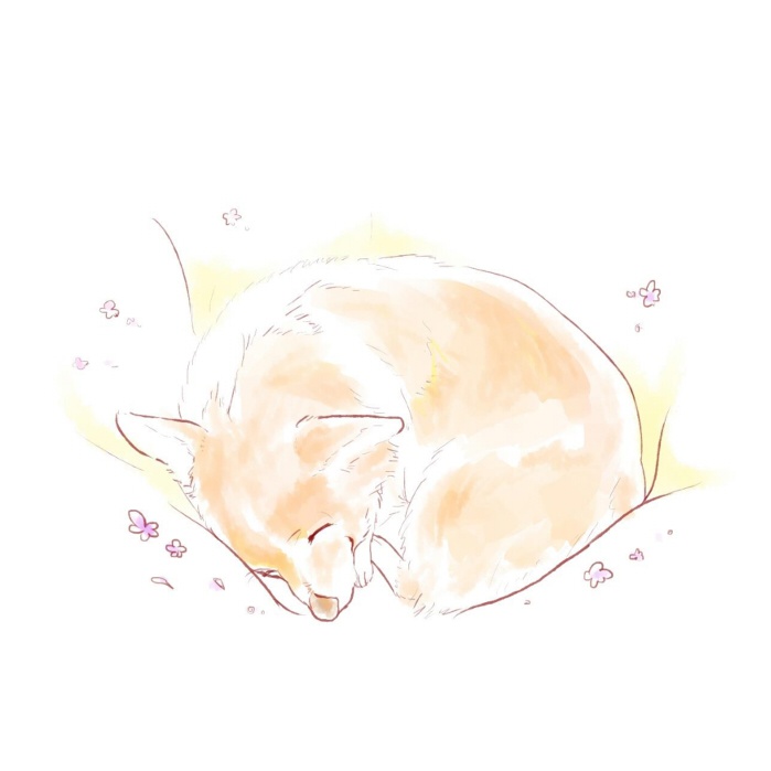 コーギー絵本(プチ闘病記)&水彩画など色々まとめ本 『ユキちゃんだいすき -with LOVE from YUKI-』