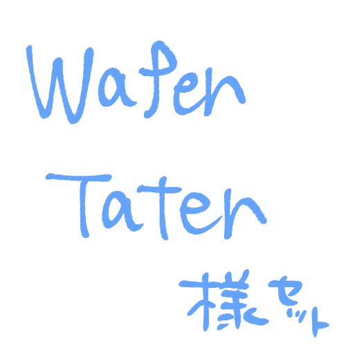 WaferTater様 セット