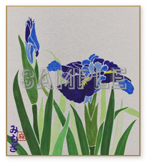 菖蒲~Iris~(色紙)