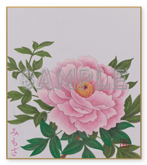 牡丹~Peony~(色紙)