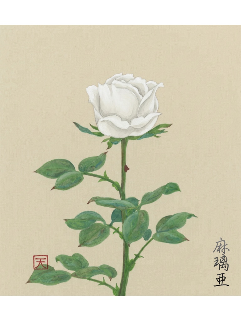 白薔薇~White rose~