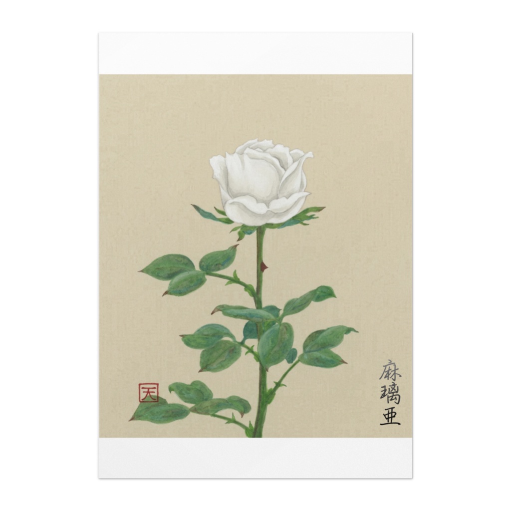 白薔薇~White rose~