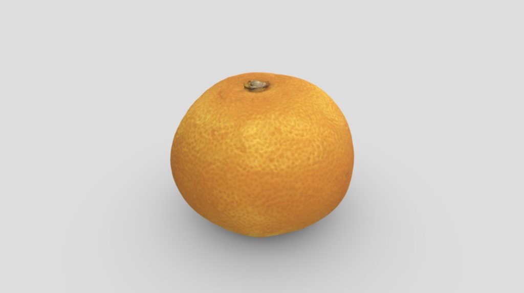 和歌山県のみかん(春先ミックス)