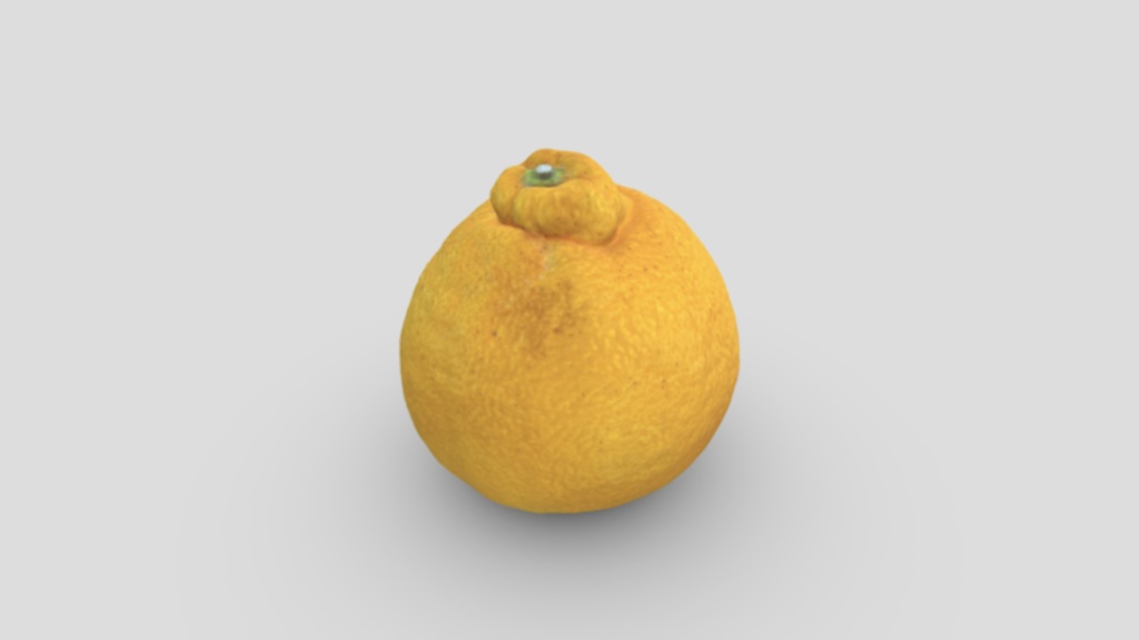 和歌山県のみかん(春先ミックス)