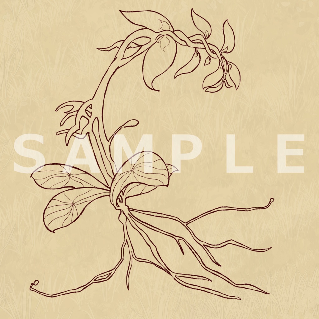 図鑑風ファンタジー植物素材集【全15種】|説明文あり/なし+透過PNG+PSD