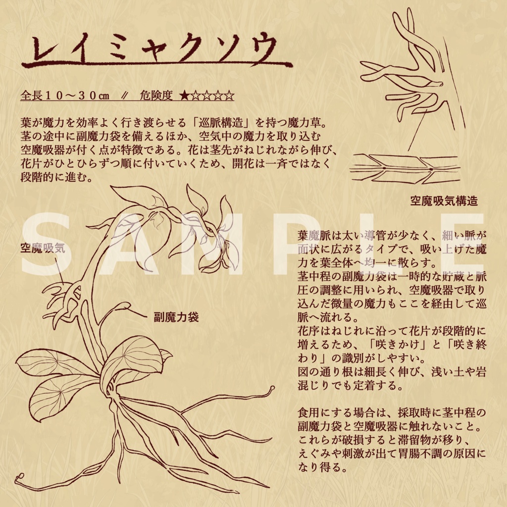 図鑑風ファンタジー植物素材集【全15種】|説明文あり/なし+透過PNG+PSD