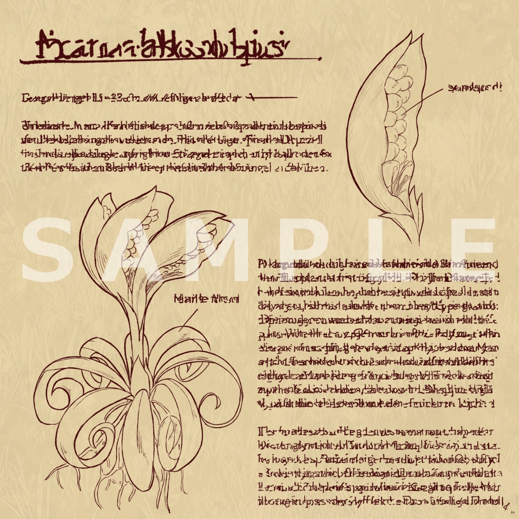 図鑑風ファンタジー植物素材集【全15種】|説明文あり/なし+透過PNG+PSD