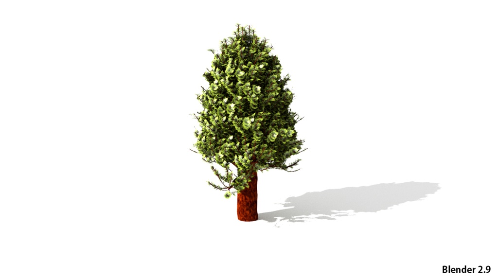 樹木ヒノキの3DCGデータ