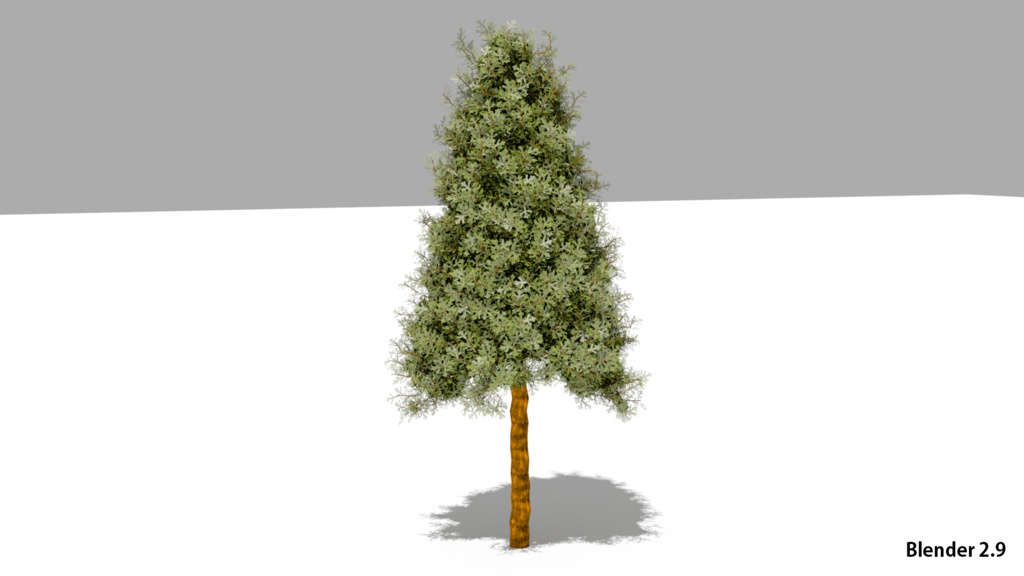 樹木スギの3DCG素材