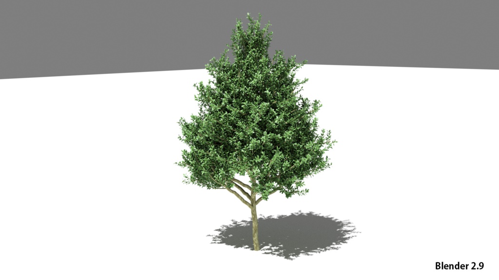 樹木ヒイラギの3DCG素材