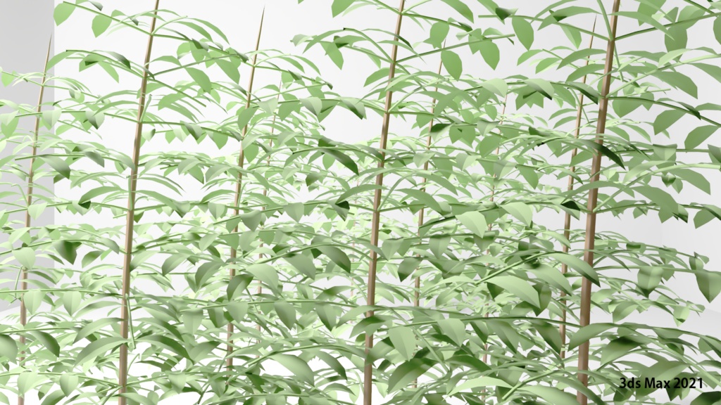 樹木サンショウの3DCG素材