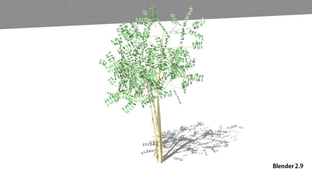 樹木シマトネリコの3DCG素材