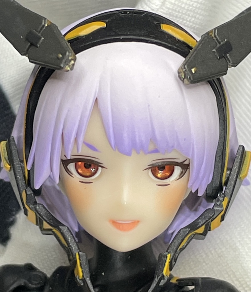 虹彩2.2mm 瞳孔0.6mm いくら