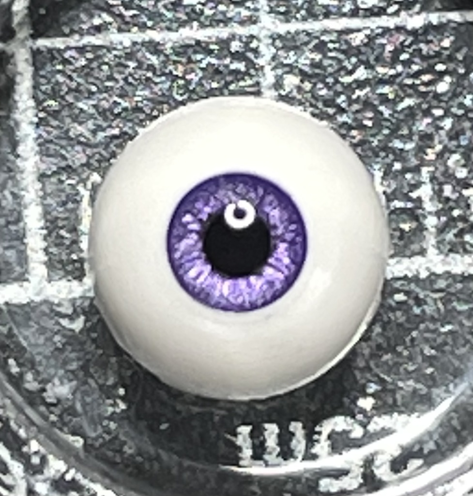 6mmアイ 虹彩2.6mm網膜あり※単品販売