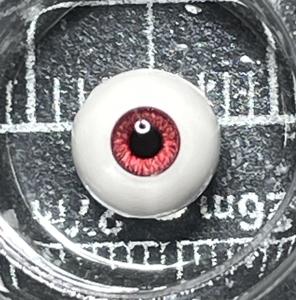 6mmアイ 虹彩2.6mm網膜あり※単品販売