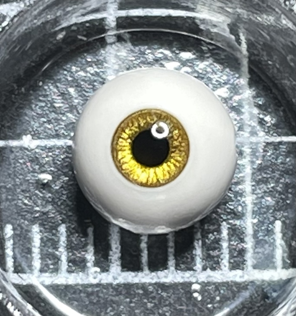 6mmアイ 虹彩2.6mm網膜あり※単品販売