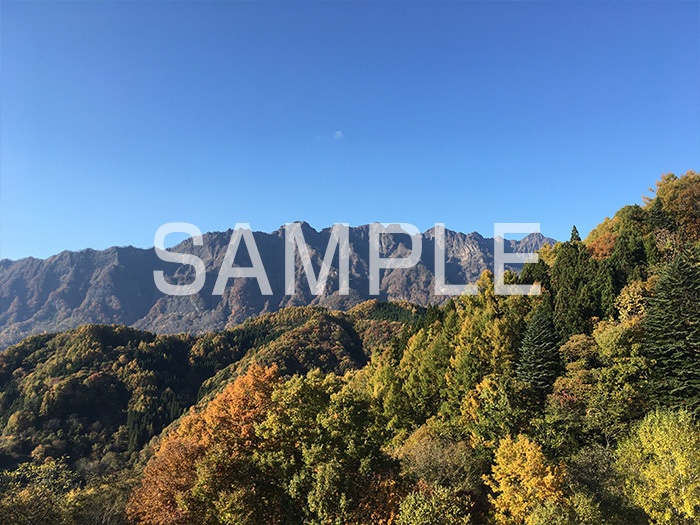 しろうま写真集