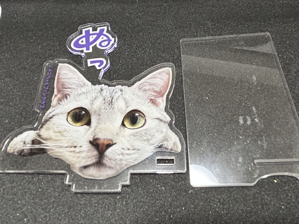 メニ　立て掛けアクリルスタンド　ぬっ　メニちゃんファンクラブ