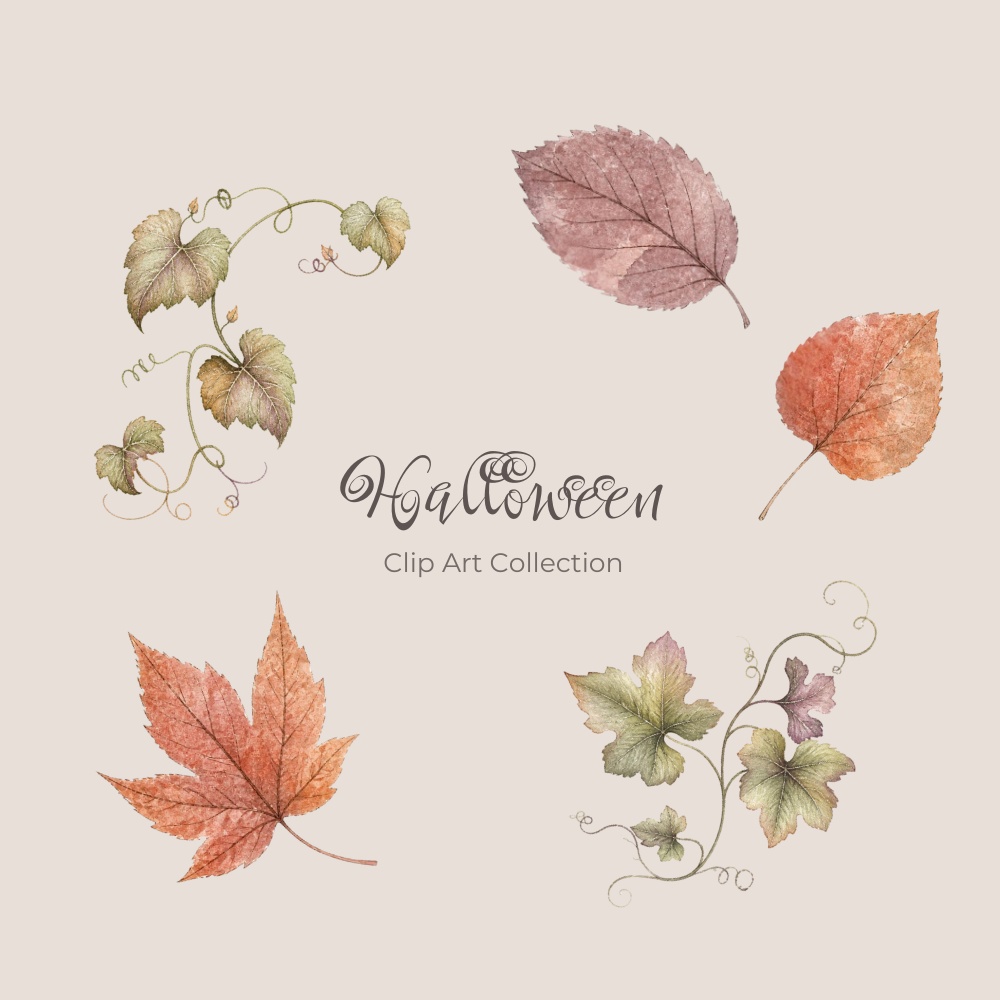 Halloween Clip Art Collection|25 PNG Elements