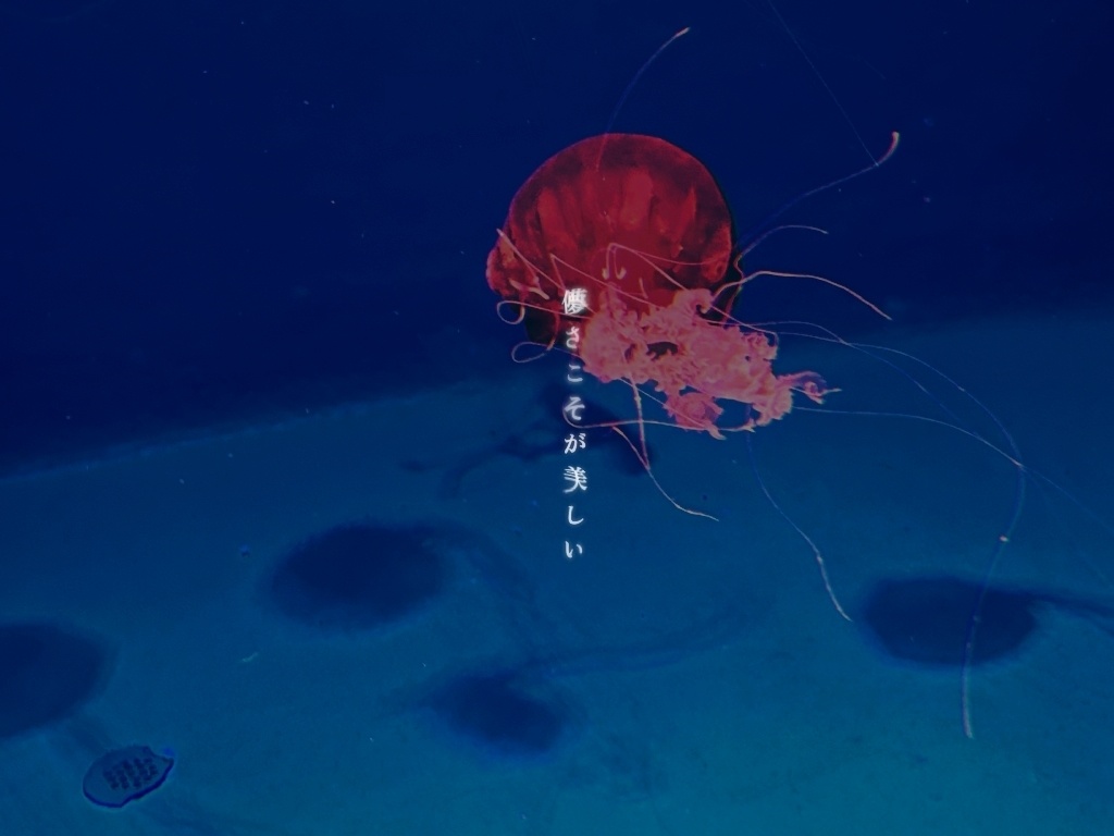 エモクロアTRPG「酔景 -SuiKey-」