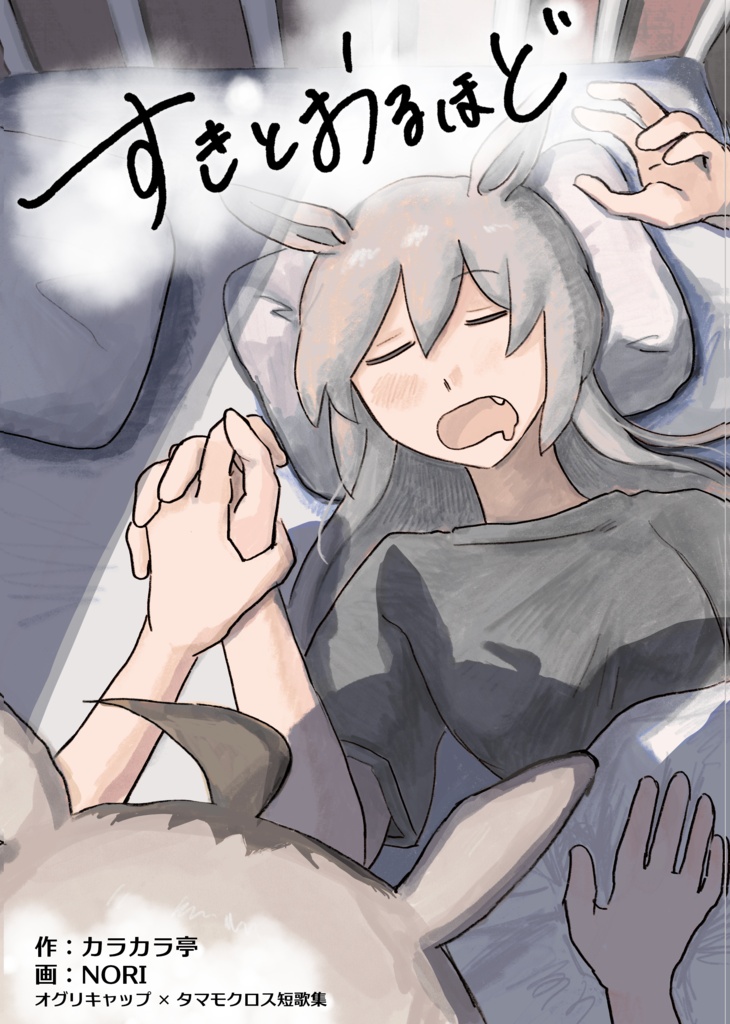 歌集　すきとおるほど