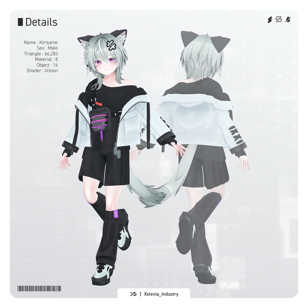 オリジナル3Dモデル『キリサメ』