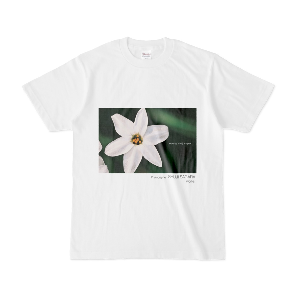 [flower] タマスダレ A