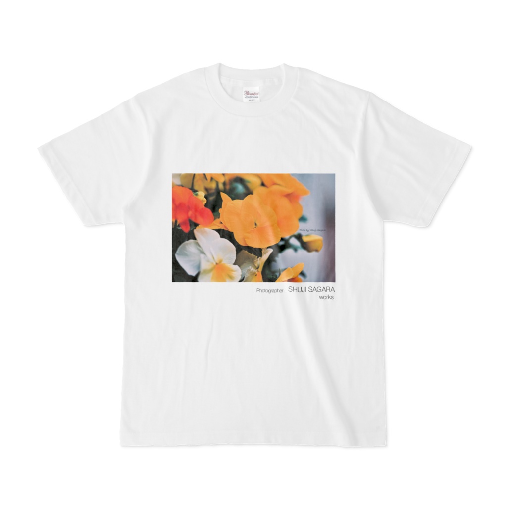 [flower] パンジー A