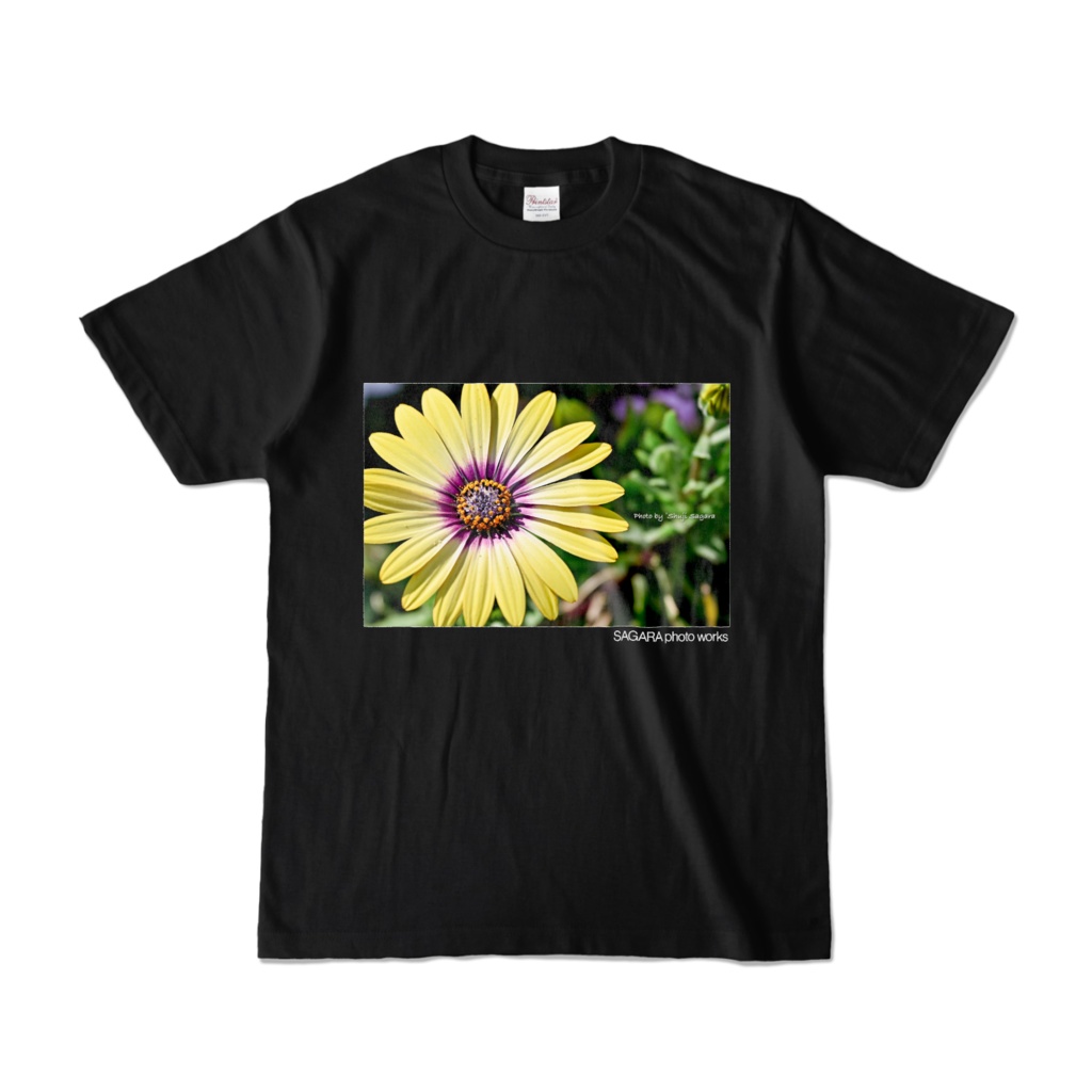 [flower] オステオスペルマム B（黒）