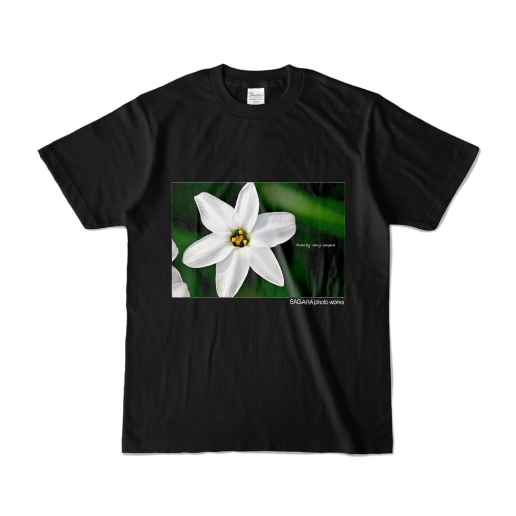 [flower] タマスダレ A（黒）