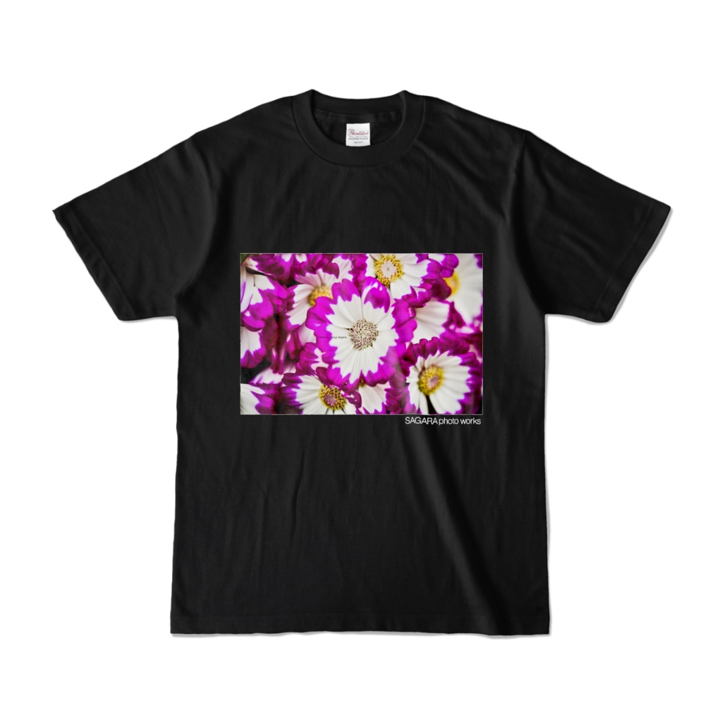 [flower] シネラリア A（黒）
