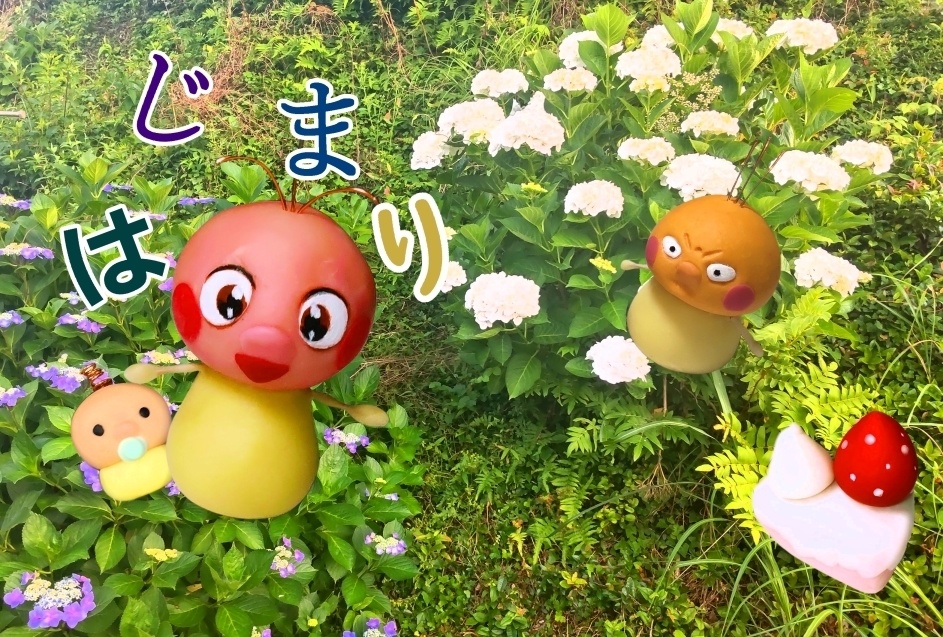 ※new❣　ブッチ初期本「はじめて」　