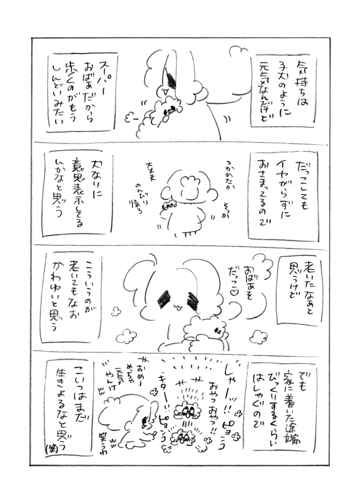 うちのおばあワン(完売のため電子書籍のご紹介です🐶❤️)