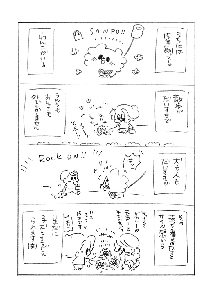 うちのおばあワン(完売のため電子書籍のご紹介です🐶❤️)