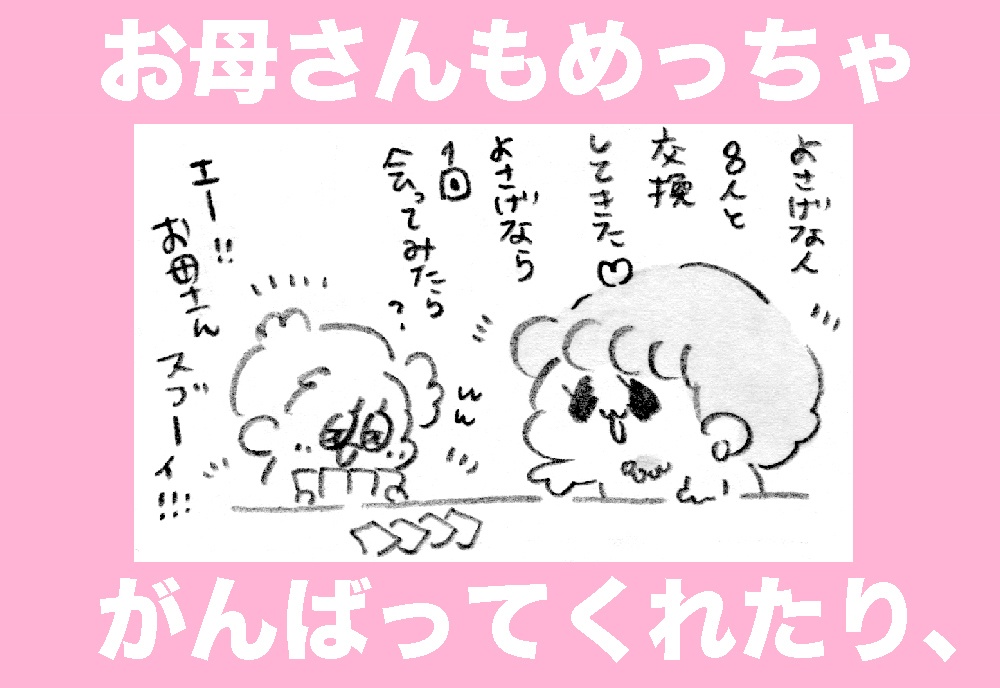 もう婚カツなんてしないなんて言わないよズェッタイ(書籍版)