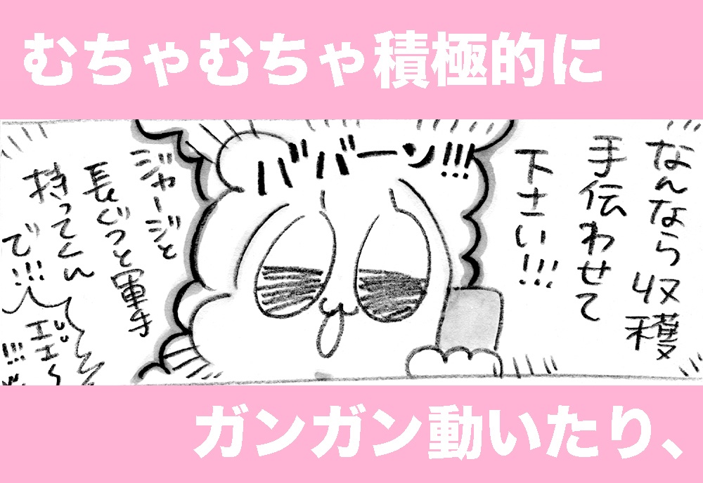 もう婚カツなんてしないなんて言わないよズェッタイ(書籍版)