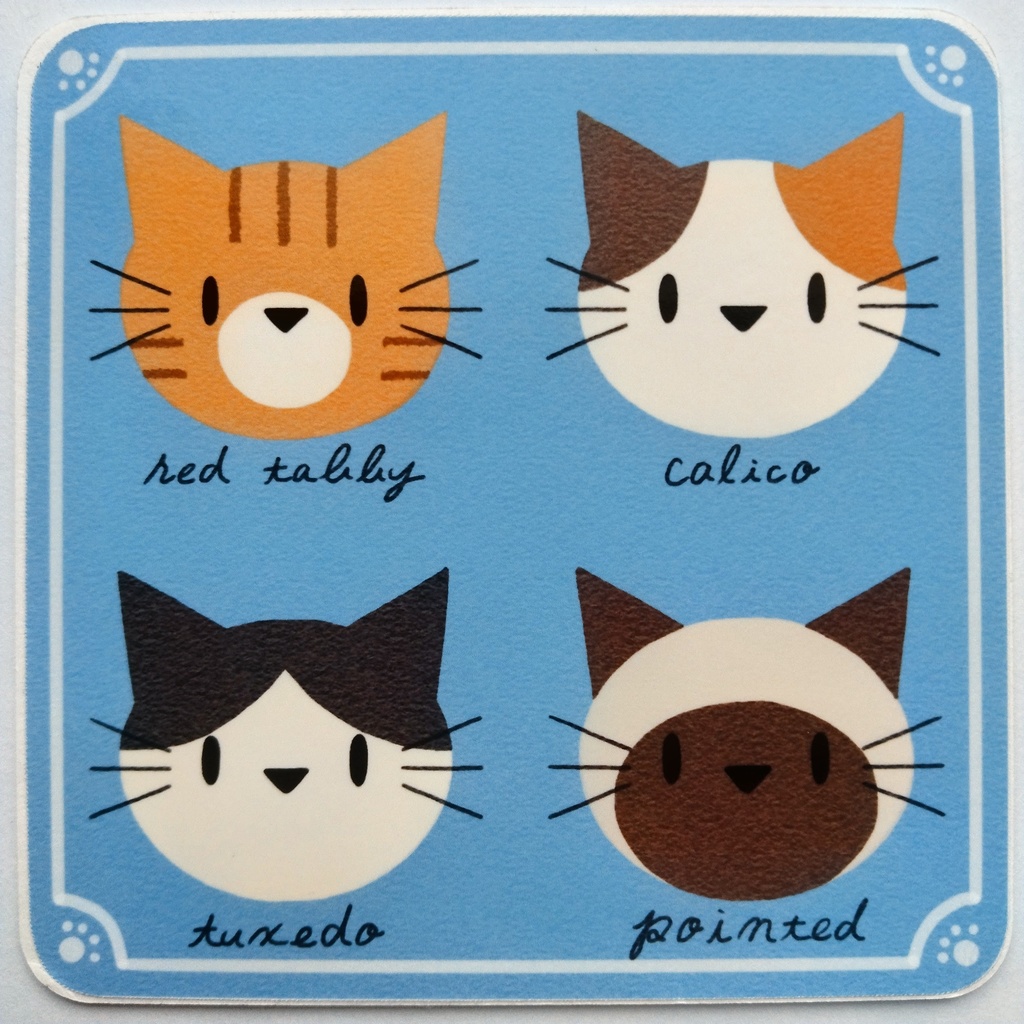 コースター『4種類のねこ』