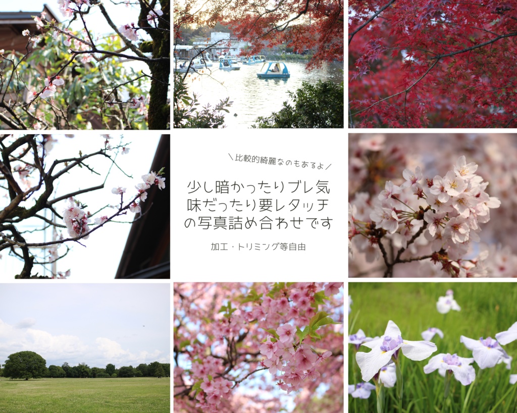 【無料】不揃いお花写真素材